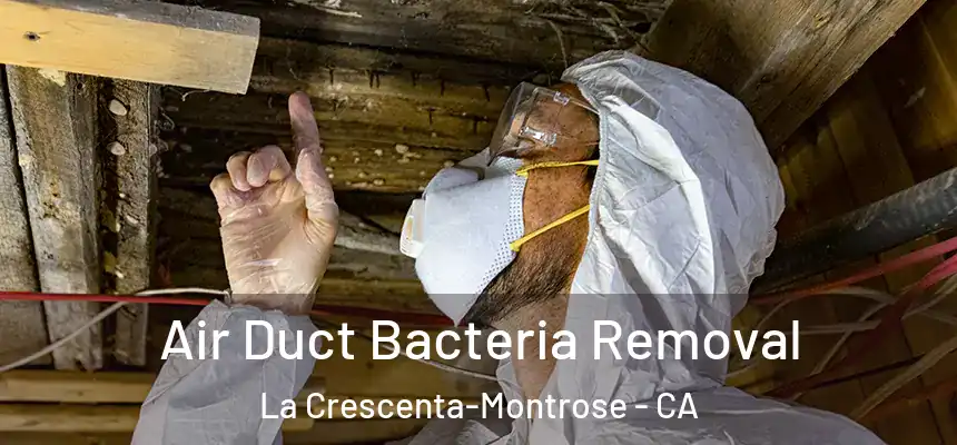 Air Duct Bacteria Removal La Crescenta-Montrose - CA