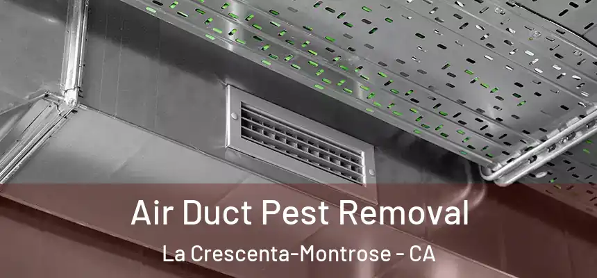  Air Duct Pest Removal La Crescenta-Montrose - CA