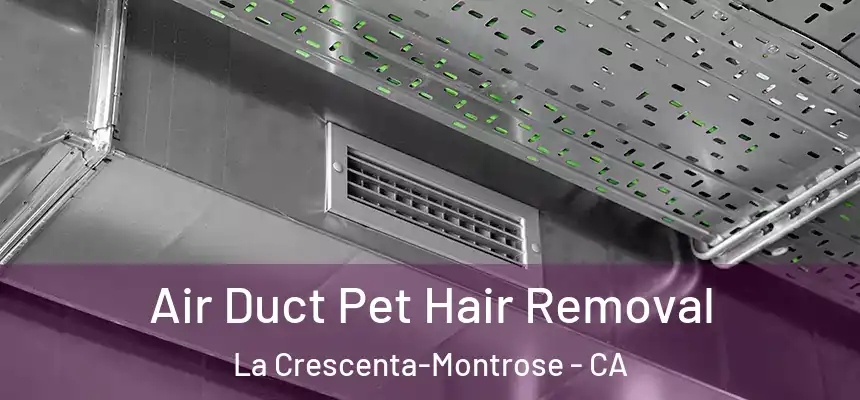 Air Duct Pet Hair Removal La Crescenta-Montrose - CA
