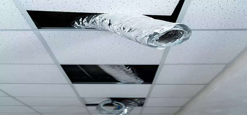 Affordable HVAC Sanitizing After Pest Removal in La Crescenta-Montrose