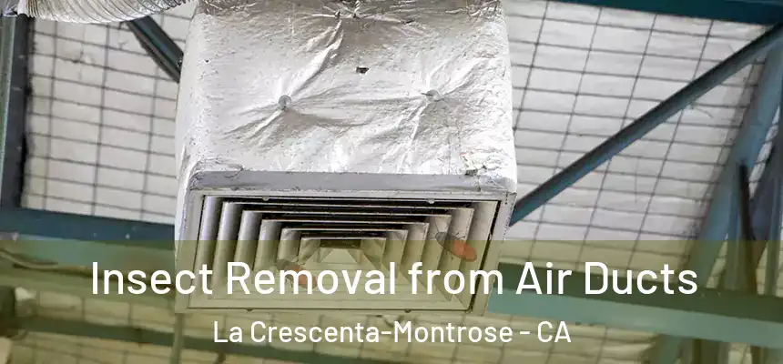 Insect Removal from Air Ducts La Crescenta-Montrose - CA