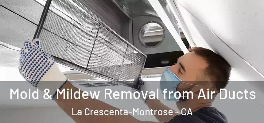  Mold & Mildew Removal from Air Ducts La Crescenta-Montrose - CA