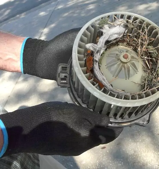 About Air Duct Rat Removal in La Crescenta-Montrose, CA