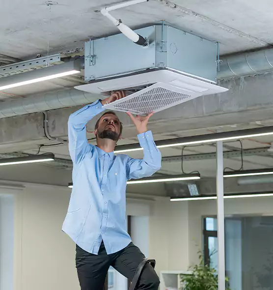 Advanced Rodent Droppings In Vents in La Crescenta-Montrose, CA