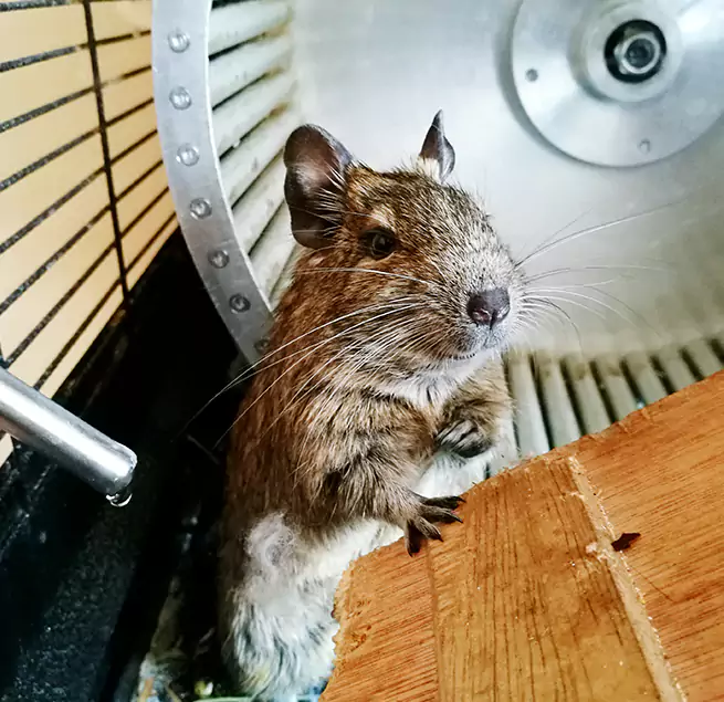 Why Homeowners & Businesses Trust Us La Crescenta-Montrose, CA?