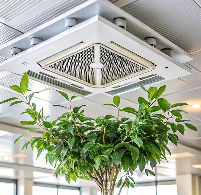 Why Homeowners & Businesses Trust Us in La Crescenta-Montrose, CA?